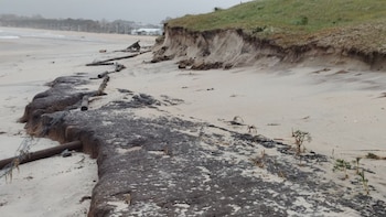 Paleosuelo que aflora con la