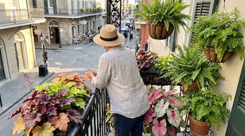 Persona con sombrero de espaldas en un balcón con barandilla de hierro forjado y macetas con helechos, coral bells y caladiums. Abajo, calle con edificios y personas.