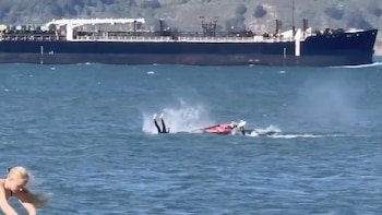 Un windsurfista choca con una ballena gris en la bahía de San Francisco