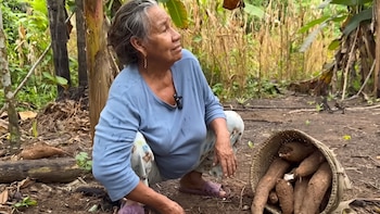 Abandonaron la ciudad hace 30 años para irse a la selva y lograron criar a sus hijos cultivando su propia tierra sin químicos