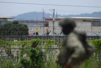 El procedimiento forma parte de