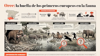 Revisan las causas de muerte de la fauna de Orce para comprender el impacto de los primeros humanos en Europa