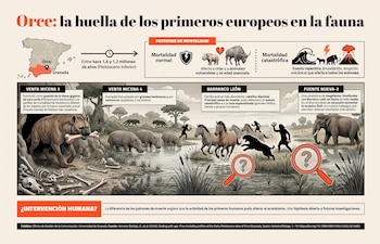 Imagen RLUAQRSICFAW7KU5RPLSE2QB4U