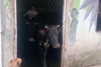 La familia López argumentó que