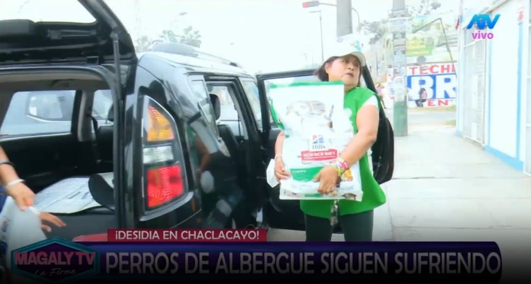 Magaly Medina pide ayuda para animales de albergue y ASPPA llega con alimentos y medicamentos. Captura: Magaly TV La Firme.