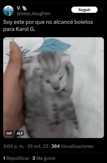 Los mejores memes que dejó