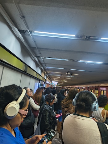 Avance en tiempo real de las diversas líneas de la red de transporte público capitalino.