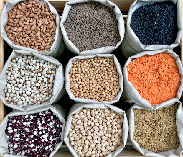 Incluir lentejas, garbanzos y porotos en las comidas diarias ayuda a cubrir las necesidades de fibra y proteína vegetal (Freepik)