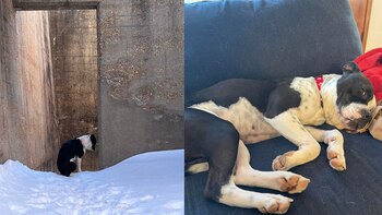 La publicación del caso en