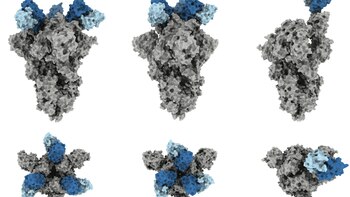 COVID: qué es y cómo