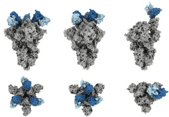 Incluso cuando la estructura del