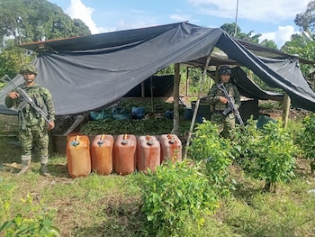 Durante los operativos, autoridades incautaron