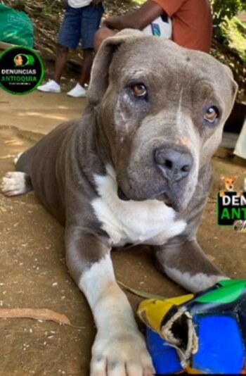 La historia de Aslan visibiliza