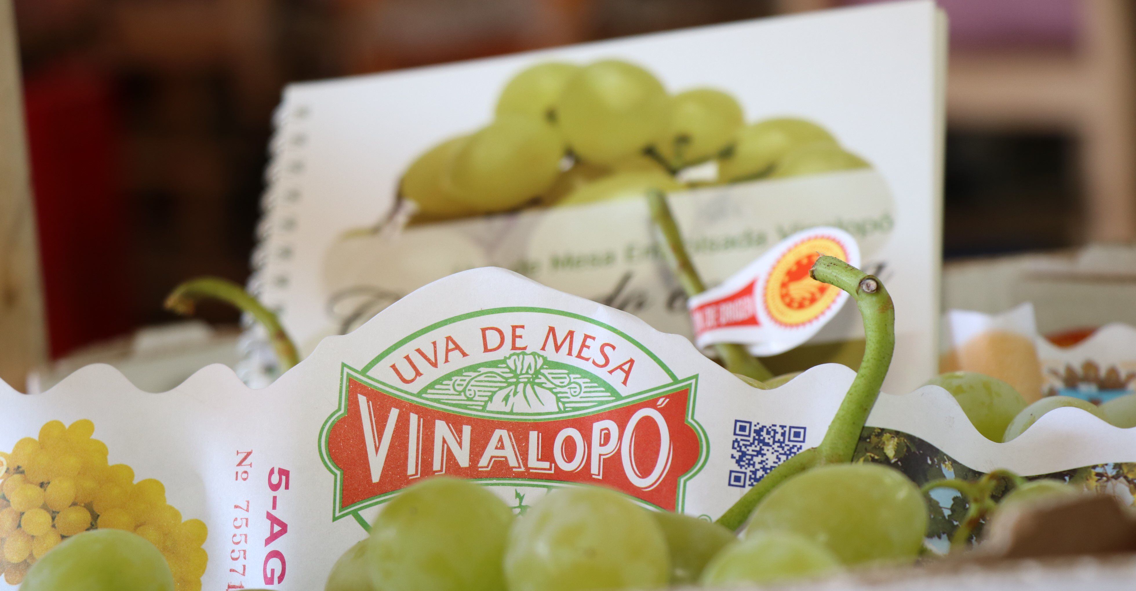 Uva de Vinalopó (Consejo Regulador de la Denominación de Origen Protegida Uva de Mesa Embolsada del Vinalopó)