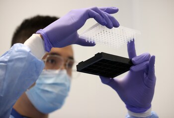 Las secuencias del genoma parcial