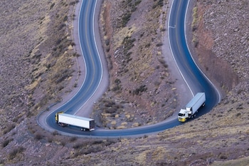 "Surgieron nuevos importadores, especialmente pymes y productores locales, que comenzaron a explorar la posibilidad de exportar directamente sus productos", desarrolla Francisco (Foto: Shutterstock)