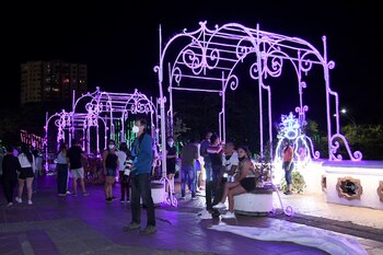 El alumbrado navideño se organizará