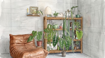 Ilustración en acuarela de un sillón marrón de cuero al lado de una estantería con múltiples macetas de plantas frente a una pared de baldosas.