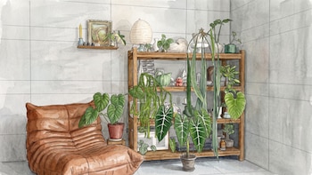 3 cuidados de primavera para las plantas de interior con brotes nuevos