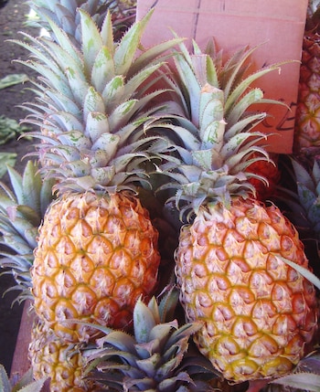 La cáscara de la piña