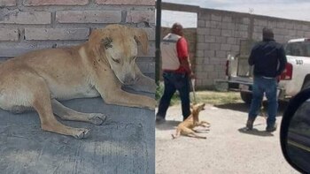 Prisión y sanciones económicas se