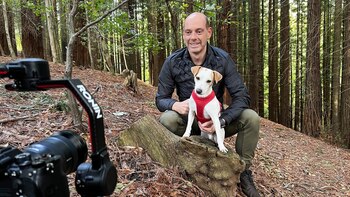 Pipper es el protagonista de