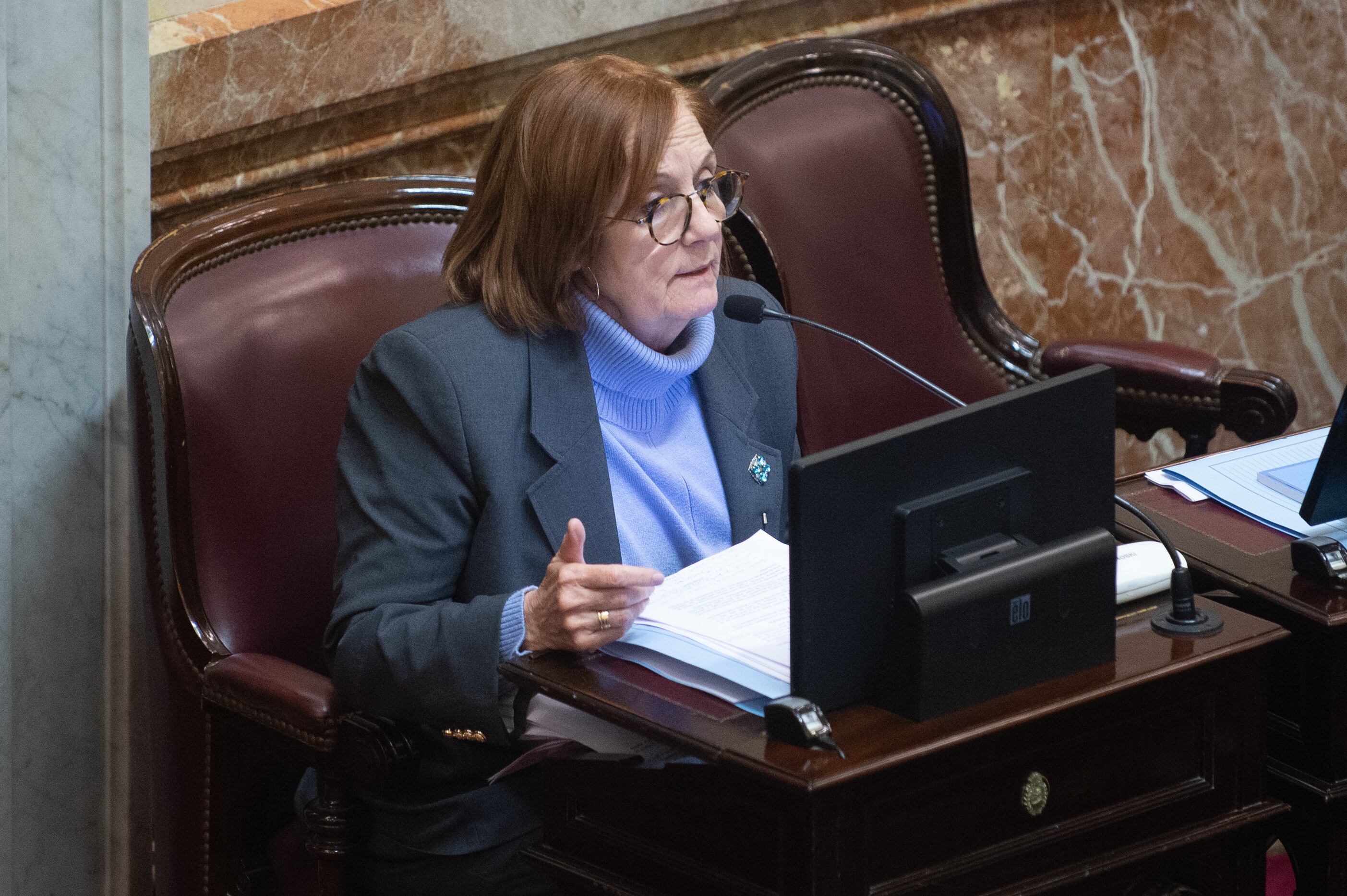 La senadora del peronismo disidente y presidenta de la comisión de Asuntos Constitucionales de la Cámara alta, Alejandra Vigo (Jaime Olivos)