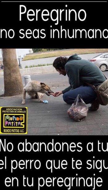 Usuarios de redes sociales condenan