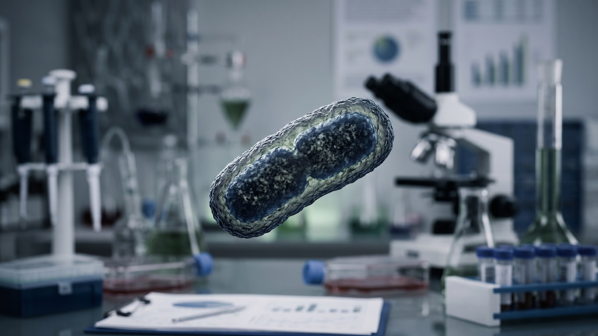 Imagen de la noticia: La revista Nature analizó la sospecha de peste en un laboratorio de Rusia: cuál es el riesgo de un brote