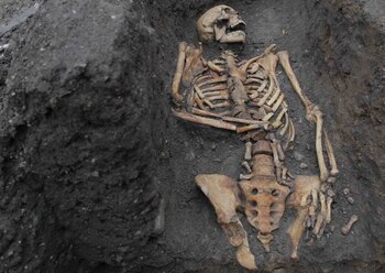 Localizaron restos humanos en Yucatán
POLITICA