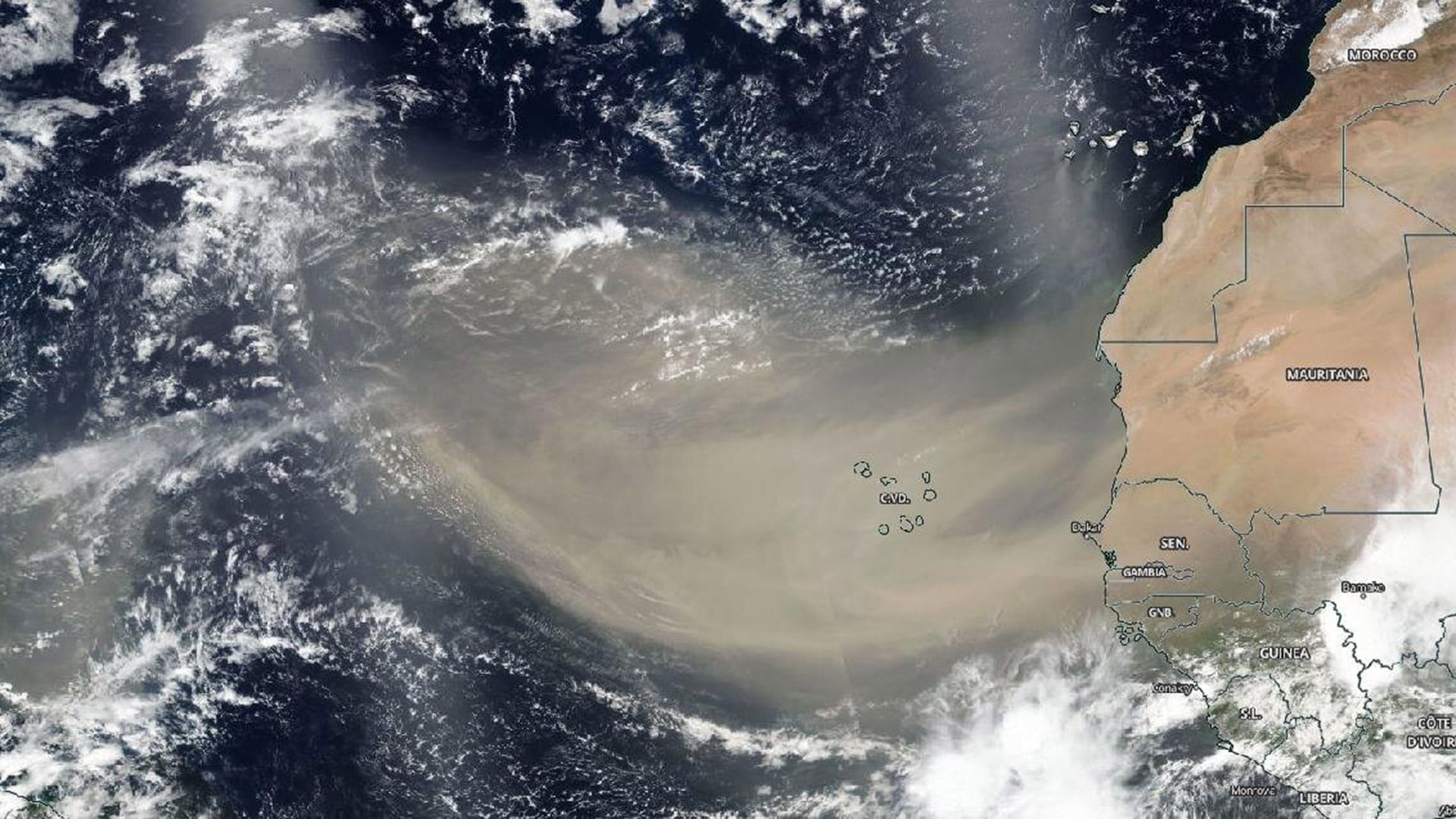 Aunque afecta la calidad del aire, el polvo del Sahara también transporta minerales que fertilizan ecosistemas como la Amazonía y contribuyen al equilibrio ambiental. Archivo