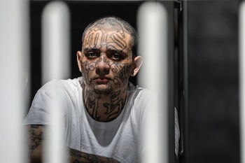 Un pandillero encerrado en el