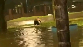 Un nene de 12 años murió electrocutado durante el temporal que azotó Tucumán