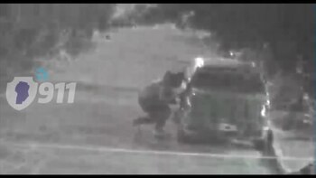 El sistema de videovigilancia permitió