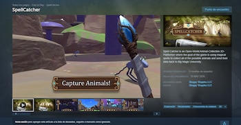 (Steam)