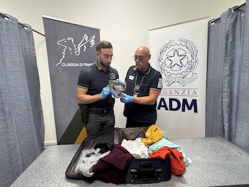 Dos agentes con guantes azules sostienen la cabeza de un animal disecado sobre una maleta abierta con ropa en un escritorio
