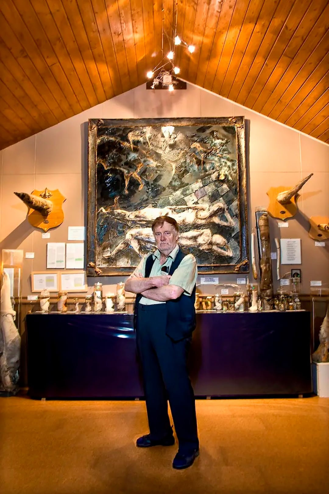 El museo falológico de Reikiavik es el único en su tipo en el mundo: 280 especímenes preservados de mamíferos marinos y terrestres tratados con rigor científico (Foto: The Icelandic Phallological Museum)