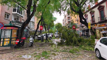 Andalucía roza el millar de