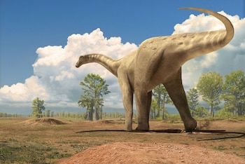 Los titanosaurios eran los dinosaurios de cuello largo más grandes que existieron y dominaron América del Sur durante el Cretácico Tardío, hace entre 66 y 100 millones de años/Archivo ICP