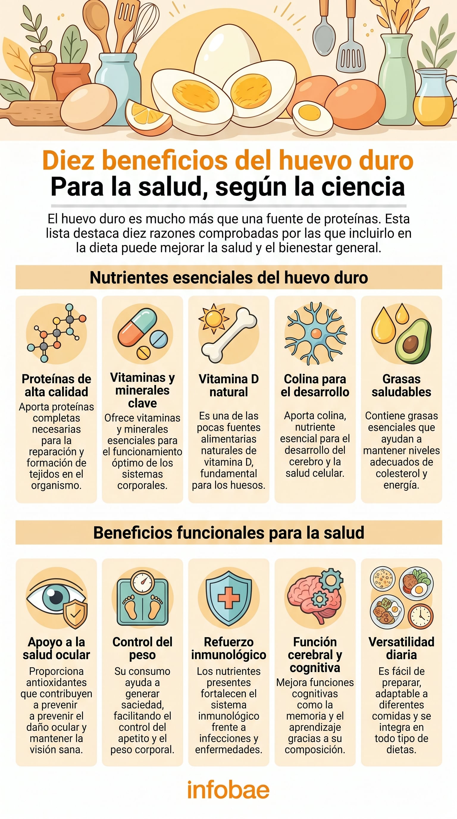 Esta infografía detalla los diez beneficios comprobados del huevo duro para la salud, incluyendo su aporte de proteínas, vitaminas, colina y grasas saludables, así como su impacto en la visión, control de peso, inmunidad, función cerebral y versatilidad en la dieta diaria. (Imagen Ilustrativa Infobae)