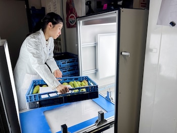 Este experimento de tres años