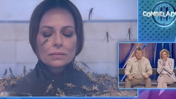 Eva González en 'Congelados'. (laSexta)