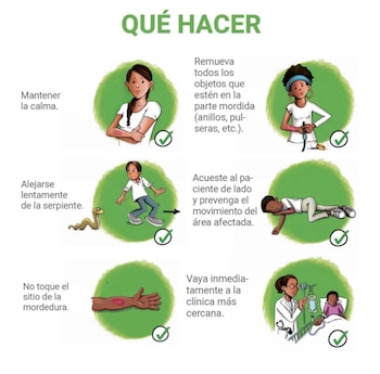 La herramienta ya supera las 2.500 descargas desde su lanzamiento. Cortesía: UCR