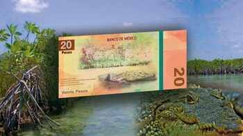 El posible diseño de los