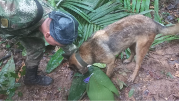En imágenes, la búsqueda de