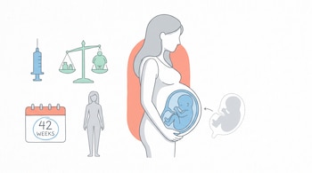 Ilustración plana de una mujer embarazada con un feto grande y un feto de tamaño promedio de referencia. A la izquierda, íconos de jeringa, balanza, calendario de 42 semanas y figura alta.