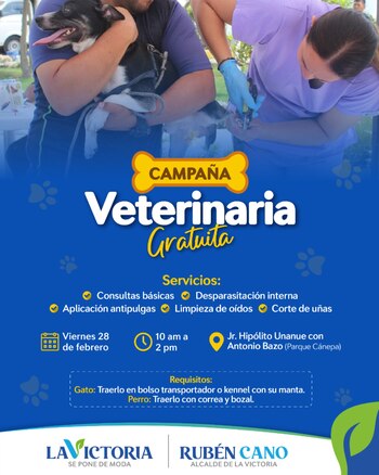 Los asistentes pueden llevar a