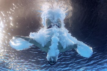 Paris 2024 Olympics - Diving - Men's 3m Springboard Preliminary - Aquatics Centre, Saint-Denis, France - August 06, 2024. Osmar Olvera Ibarra of Mexico in action. REUTERS/Stefan Wermuth