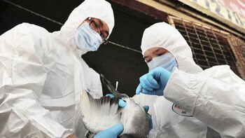 Preocupación por un virus de