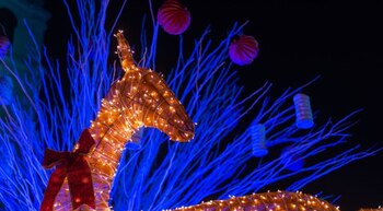 Antigua cultura y tradiciones se